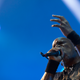 Image for article titled Heavy metal is the thinking person’s music
